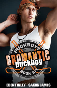 Bromantic Puckboy Summary