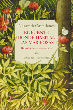 El puente donde habitan las mariposas Summary
