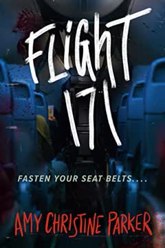 Flight 171 Summary