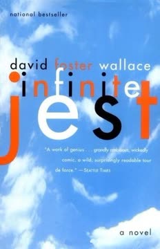 Infinite Jest Summary