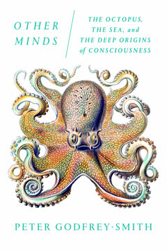 Other Minds Summary