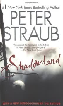 Shadowland Summary