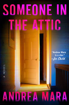 Someone in the Attic Summary