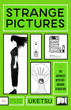 Strange Pictures Summary