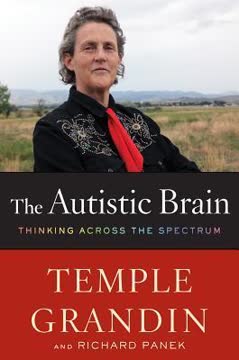 The Autistic Brain Summary
