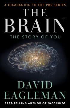The Brain Summary