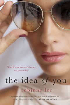 The Idea of You Summary