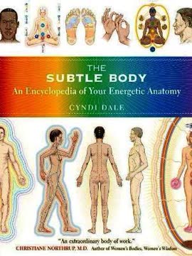 The Subtle Body Summary