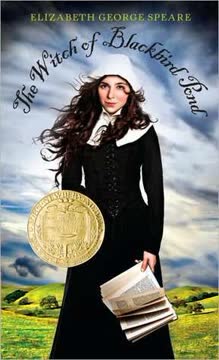 The Witch of Blackbird Pond Summary