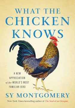 What the Chicken Knows Summary