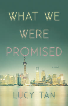 What We Were Promised Summary