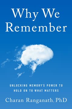 Why We Remember Summary