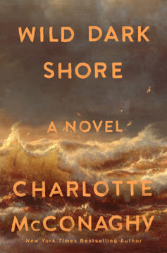 Wild Dark Shore Summary